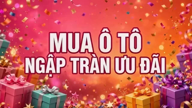 Địa điểm hỗ trợ xem xe tại Vĩnh Long